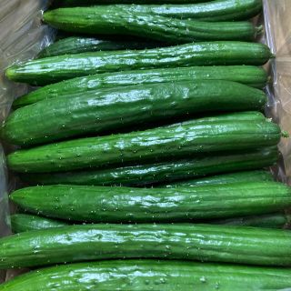 【農家直送】岩手県産 露地栽培きゅうり 5Kg(野菜)