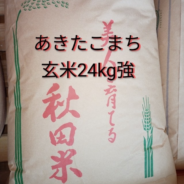 食品令和2年度産　あきたこまち玄米　24.5kg強