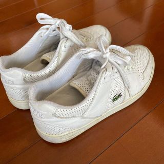 ラコステ(LACOSTE)のLACOSTE スニーカー　ラコステ　23.5㎝(スニーカー)