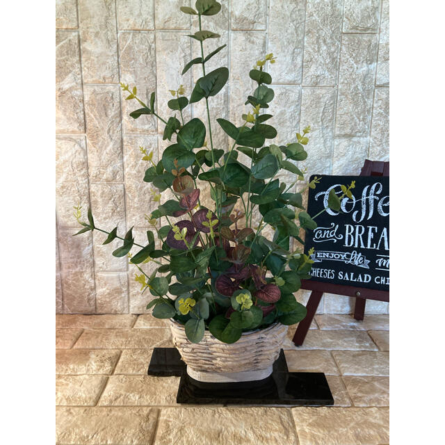 光触媒 人工観葉植物 ウォールグリーン 造花 インテリア ユーカリポポラス57の通販 By 太郎 ラクマ 光触媒 人工観葉植物 ウォールグリーン 造花 インテリア ユーカリポポラス57の通販 By 太郎 ラクマ