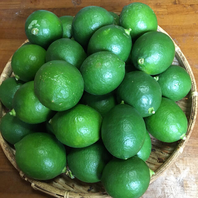 無農薬栽培 マイヤーレモン - フルーツ