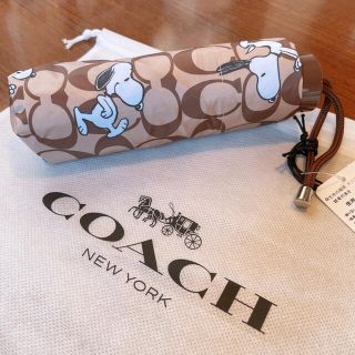 COACH - コーチ スヌーピー 傘 新品未使用 COACH SNOOPY 完売の通販