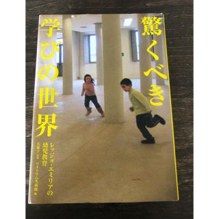 驚くべき学びの世界　レッジョ・エミリアの幼児教育(ノンフィクション/教養)