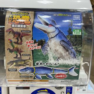 タカラトミー(Takara Tomy)のガチャガチャ　ガチャアクション　the恐竜　海の捕食者　オビラプトル(その他)