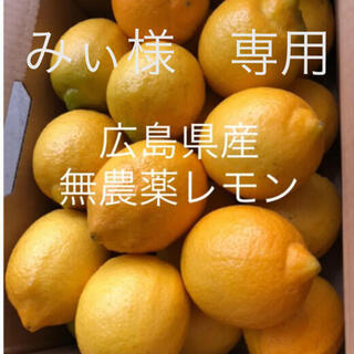 国産　広島県産　無農薬　レモン　2kg 専用品(フルーツ)