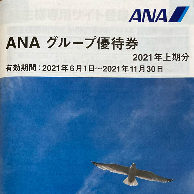 ANA(全日本空輸)(エーエヌエー(ゼンニッポンクウユ))のANA 株主優待　冊子付き チケットの優待券/割引券(その他)の商品写真