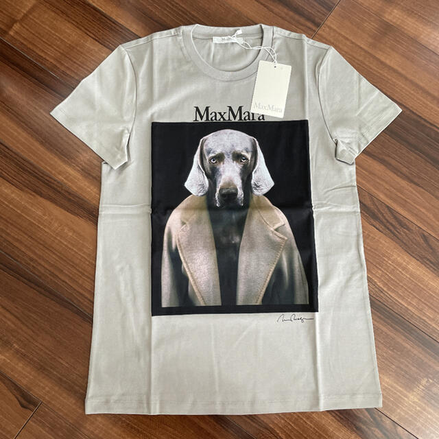 超高品質販売中 滝沢眞規子着用 MAXMARA DOGSTAR Tシャツ - トップス