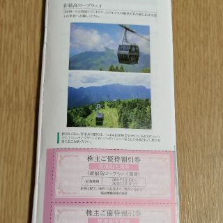 新穂高ロープウェイ割引券　２枚　名鉄株主優待　名鉄百貨店買物優待券２枚付き(その他)