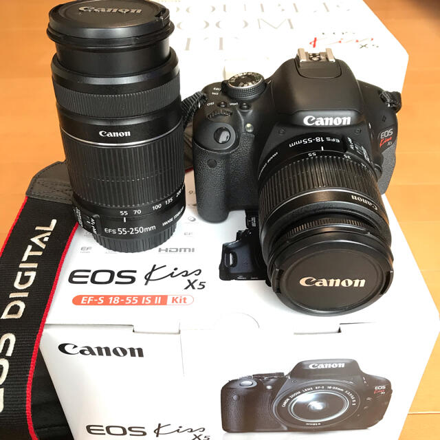 【美品】Canon EOS Kiss X5 ダブルズームキット