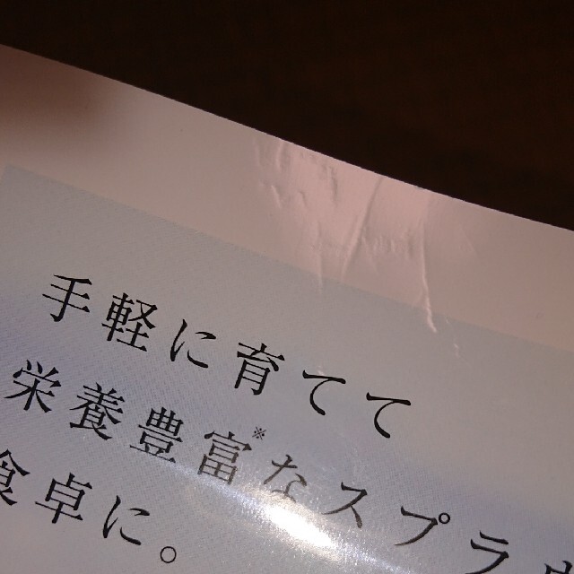 NHK 趣味の園芸 やさいの時間 2021年 08月号 エンタメ/ホビーの雑誌(専門誌)の商品写真