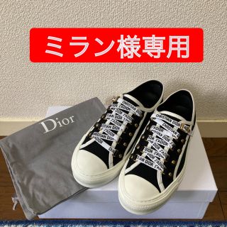 Christian Dior - 試着のみ ディオール Dior オブリーク刺繍 ...