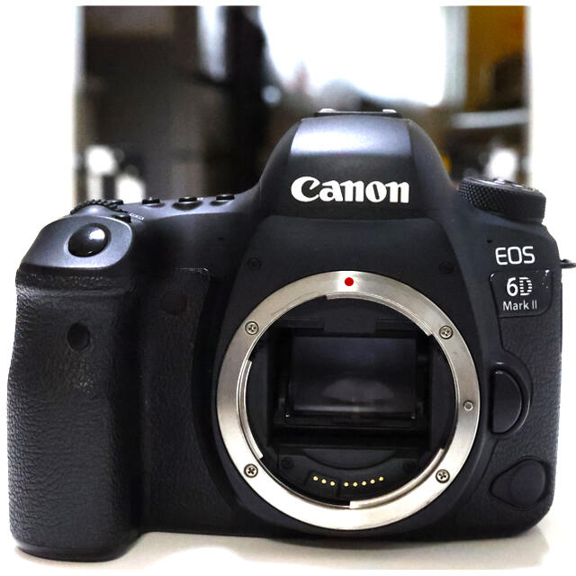 Canon(キヤノン)のCanon EOS 6D markⅡ ボディ スマホ/家電/カメラのカメラ(デジタル一眼)の商品写真