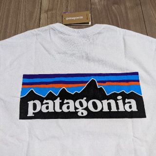 パタゴニア(patagonia)のパタゴニア　ロゴTシャツ　バックプリント(Tシャツ(半袖/袖なし))