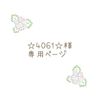 ☆4061☆様専用ページ(その他)