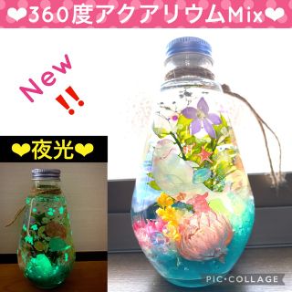 【New】〜360度アクアリウム〜水族館風♡蓄光Mixハーバリウム♡♯8(プリザーブドフラワー)