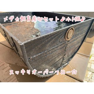 メダカ飼育産卵セット♪小1個♪(アクアリウム)