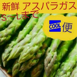 朝どりアスパラガス＼(^_^)／(野菜)