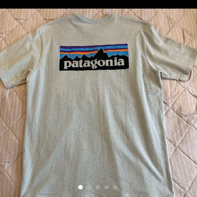 patagonia(パタゴニア)のpatagonia パタゴニア Tシャツ　カットソー　P-6 メンズのトップス(Tシャツ/カットソー(半袖/袖なし))の商品写真