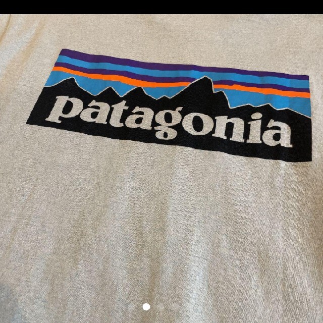 patagonia(パタゴニア)のpatagonia パタゴニア Tシャツ　カットソー　P-6 メンズのトップス(Tシャツ/カットソー(半袖/袖なし))の商品写真