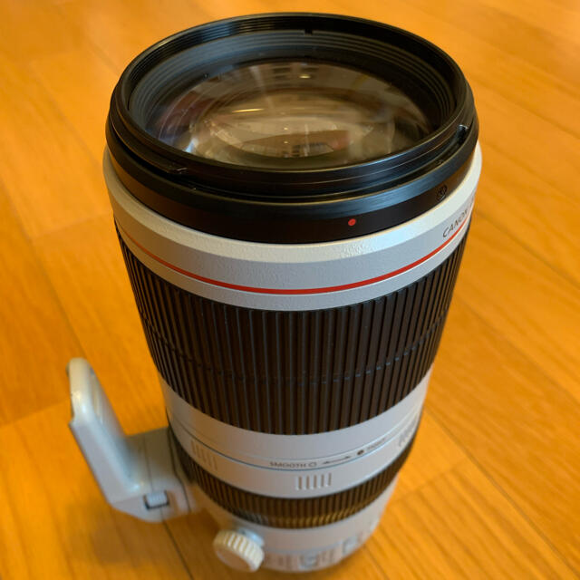 Canon EF100-400mm F4.5-5.6L IS II USM