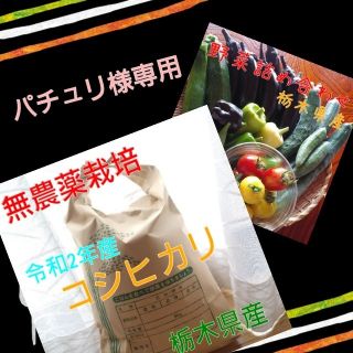 パチュリ様専用★米と野菜セット(野菜)