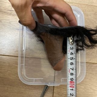 ftm 匠 スタンダード エピテーゼ | www.jarussi.com.br