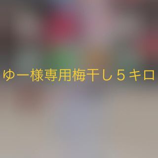 ゆー様専用✨紀州南高梅　梅干し　５キロ (野菜)