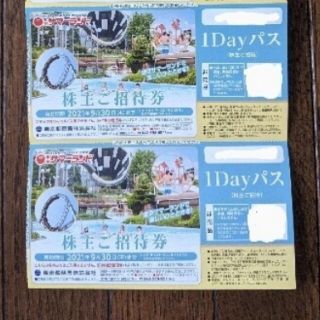 サマーランド　株主優待券　2枚(プール)