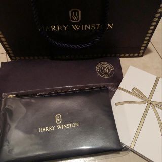 ハリーウィンストン(HARRY WINSTON)のハリーウィンストン　ポーチ(ポーチ)