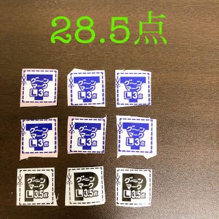 グーンポイント28.5点(その他)