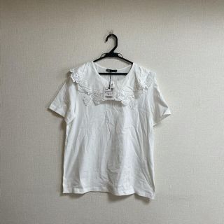 ザラ(ZARA)のお値下げ中　ZARA 襟付きTシャツ(Tシャツ(半袖/袖なし))