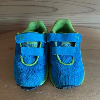 プーマ(PUMA)のスニーカー　靴　プーマ　子供　キッズ　12(スニーカー)