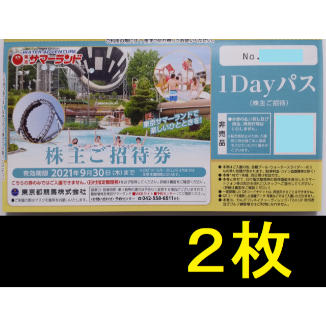 東京サマーランド 1Dayパス 2枚 2021年9月期限 -a