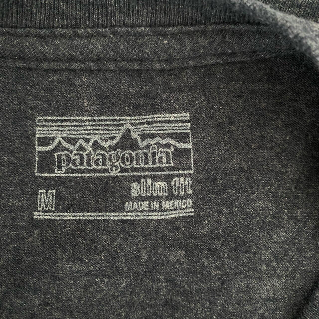 patagonia(パタゴニア)のパタゴニア  Patagonia Tシャツ メンズのトップス(Tシャツ/カットソー(半袖/袖なし))の商品写真