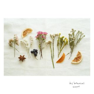 dry botanical /  #9 ドライフラワー 花材  ハンドメイド(ドライフラワー)