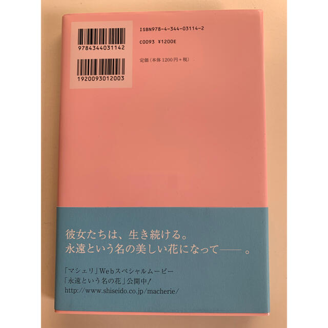 AAA(トリプルエー)の永遠という名の花 エンタメ/ホビーの本(文学/小説)の商品写真