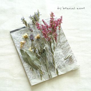 dry botanical /  #5 ドライフラワー 花材  ハンドメイド(ドライフラワー)