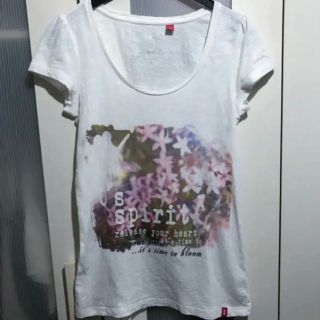 エスプリ(Esprit)のオランダ エスプリ  半袖Tシャツ　M(Tシャツ(半袖/袖なし))