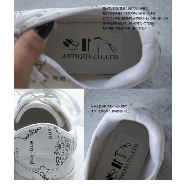 antiqua(アンティカ)のantiqua スニーカー厚底 レディースの靴/シューズ(スニーカー)の商品写真