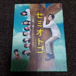 セミオトコ　DVD-BOX DVD(TVドラマ)