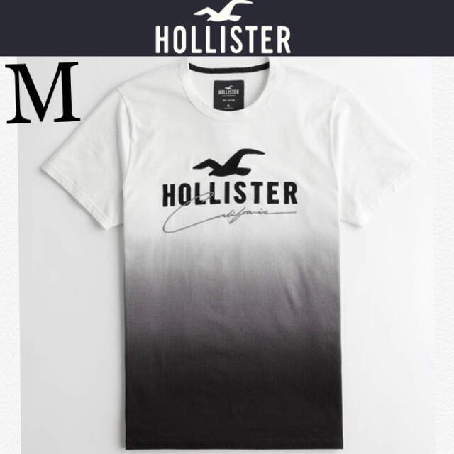 HOLLISTERロゴt M - Tシャツ