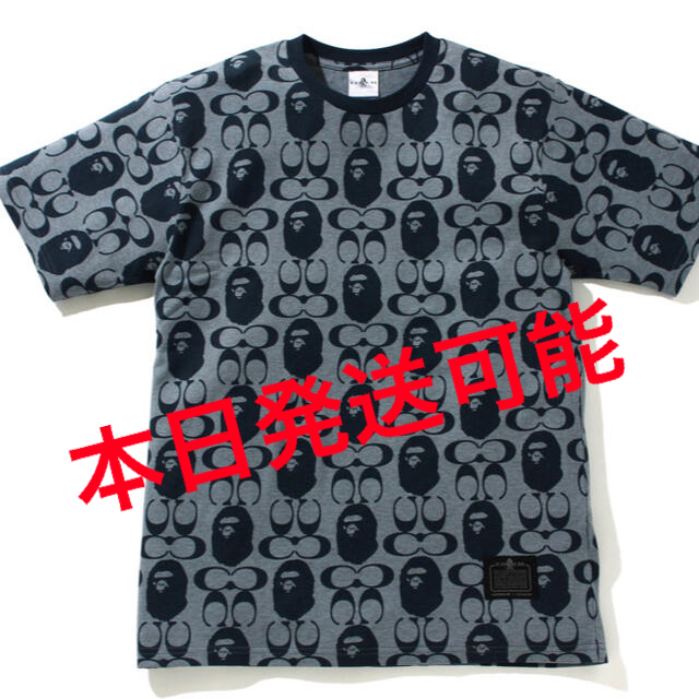 BAPE × COACH コラボTシャツ Lサイズ