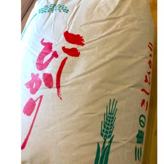 令和2年三重県産 コシヒカリ お米 10kg 精米込み(米/穀物)