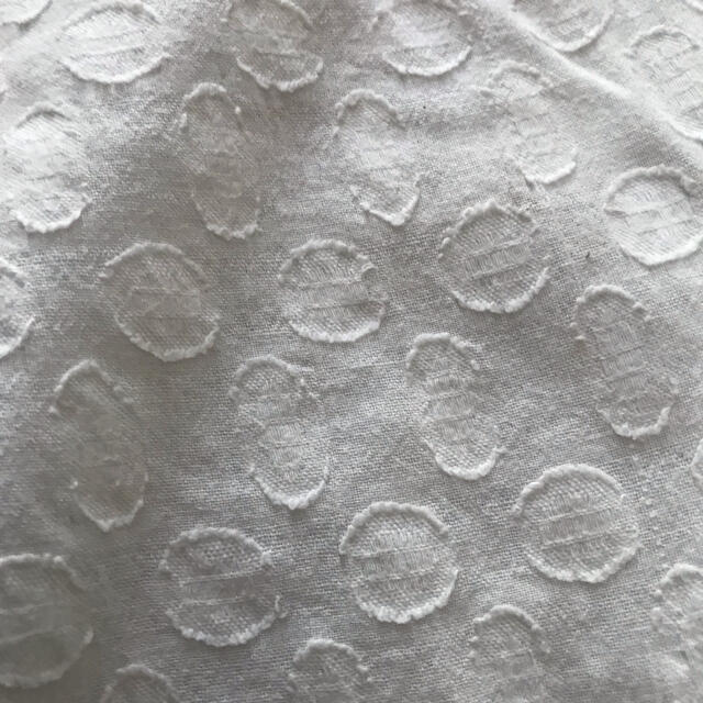peniphass ホワイトドット　カットソー レディースのトップス(カットソー(半袖/袖なし))の商品写真