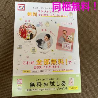 キタムラ(Kitamura)の同梱無料！スタジオマリオ 無料お試し券(その他)