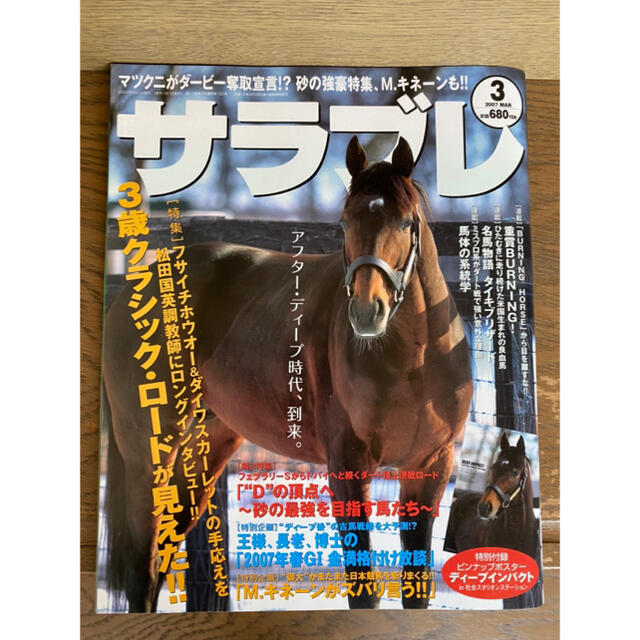 サラブレ　雑誌2冊　ポスター&DVD付き エンタメ/ホビーの雑誌(アート/エンタメ/ホビー)の商品写真