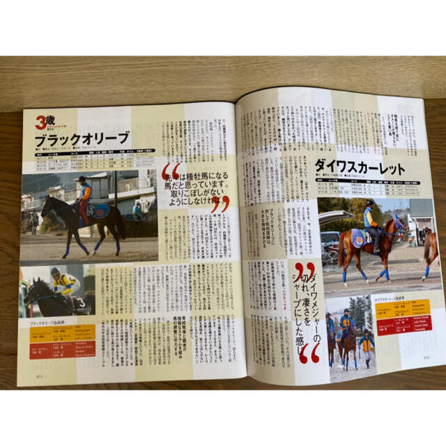 サラブレ　雑誌2冊　ポスター&DVD付き エンタメ/ホビーの雑誌(アート/エンタメ/ホビー)の商品写真