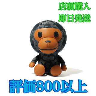 アベイシングエイプ(A BATHING APE)の★限定・極小★BAPE X COACH BABY MILO PLUSH DOLL(ぬいぐるみ)