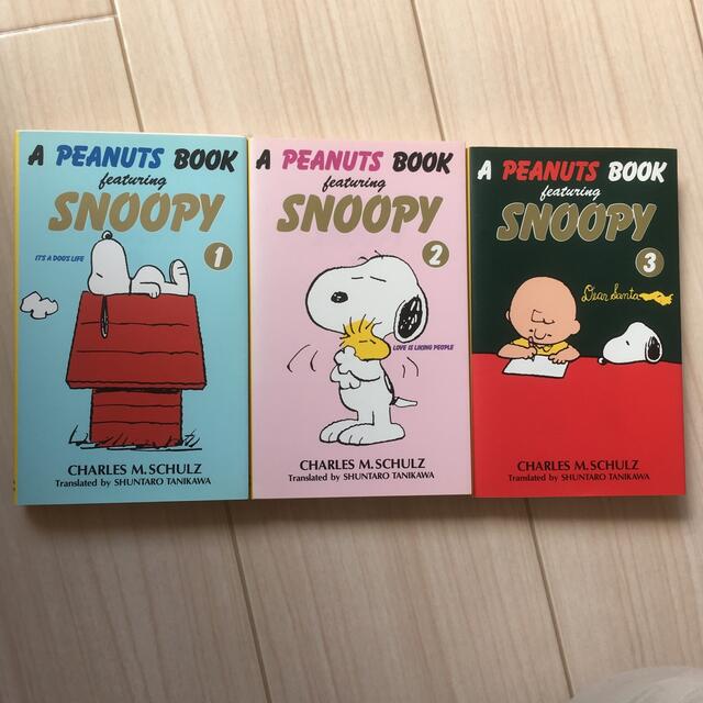 SNOOPY(スヌーピー)のA peanuts book snoopy エンタメ/ホビーの本(住まい/暮らし/子育て)の商品写真