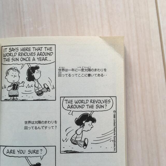 SNOOPY(スヌーピー)のA peanuts book snoopy エンタメ/ホビーの本(住まい/暮らし/子育て)の商品写真